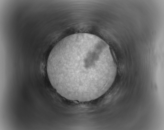 X0000093521010200711091735