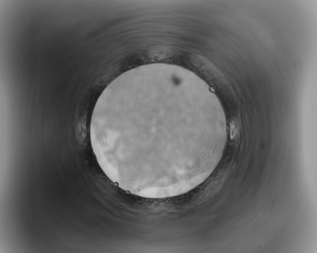 X0000093521011200711091735