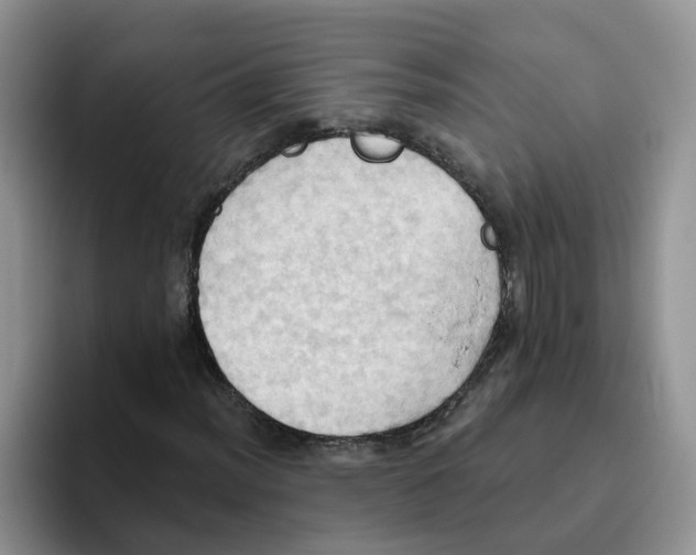 X0000093521012200711091735