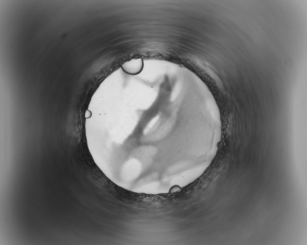 X0000093521015200711091735