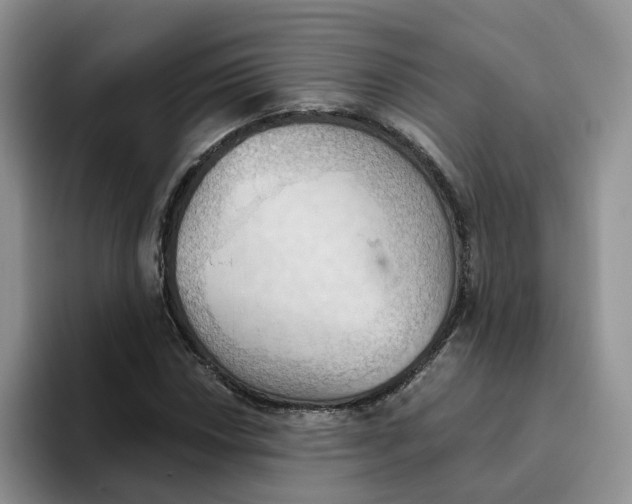 X0000093521018200711091735