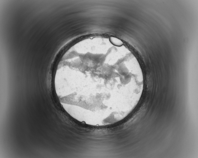 X0000093521021200711091735