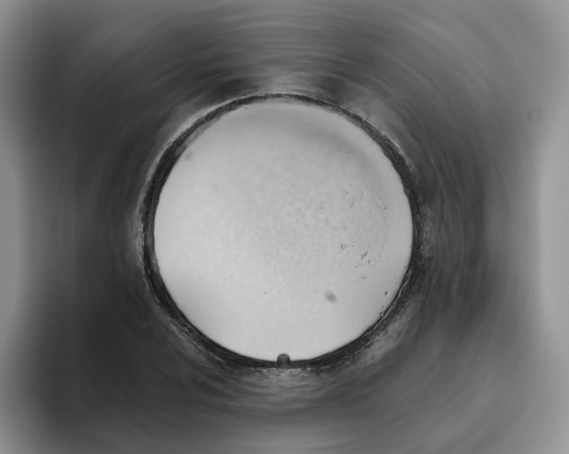 X0000093521024200711091736