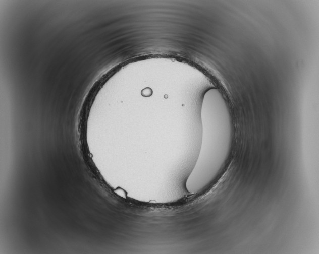 X0000093521026200711091736