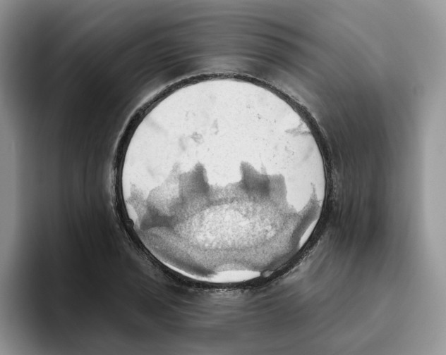 X0000093521029200711091736