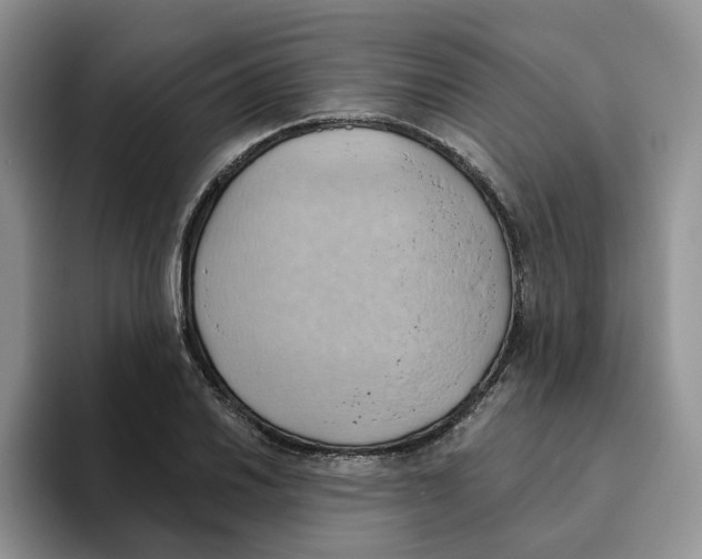 X0000093521030200711091736