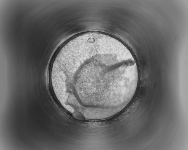 X0000093521032200711091736