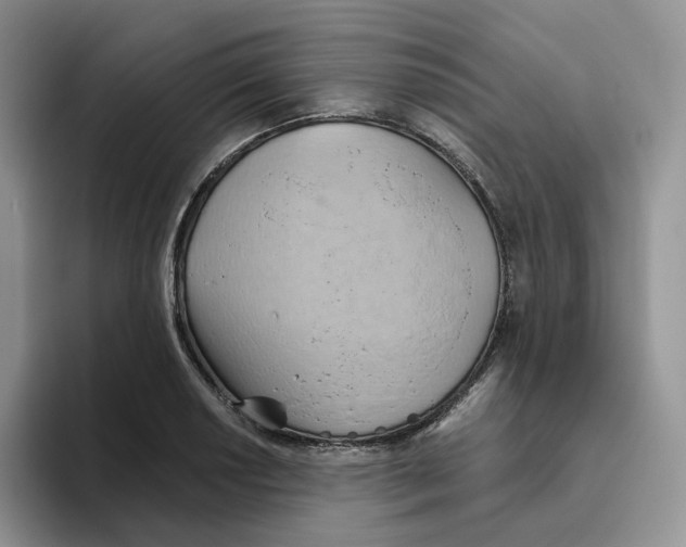 X0000093521034200711091736