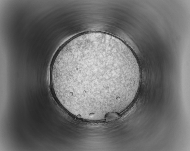 X0000093521036200711091736