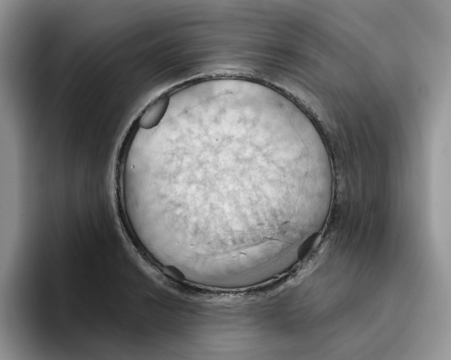 X0000093521038200711091736