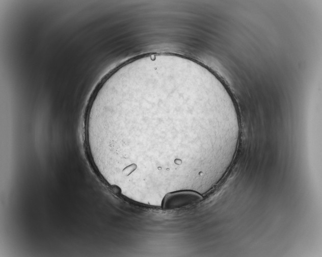 X0000093521040200711091736