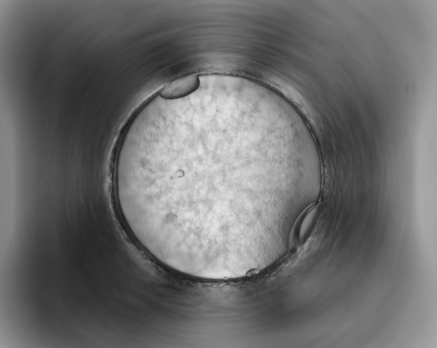 X0000093521042200711091736