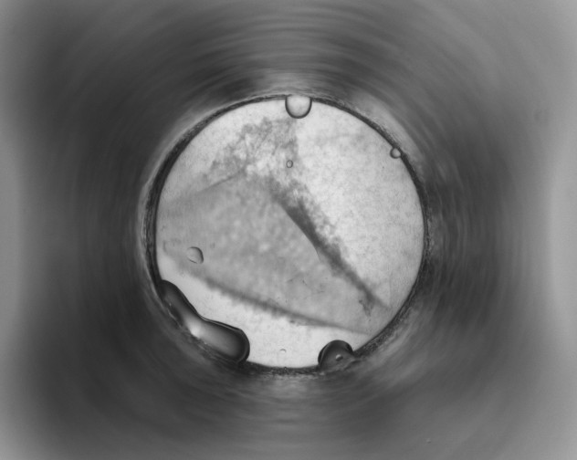 X0000093521043200711091736