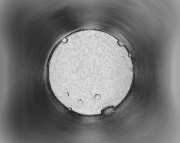 X0000093521044200711091736