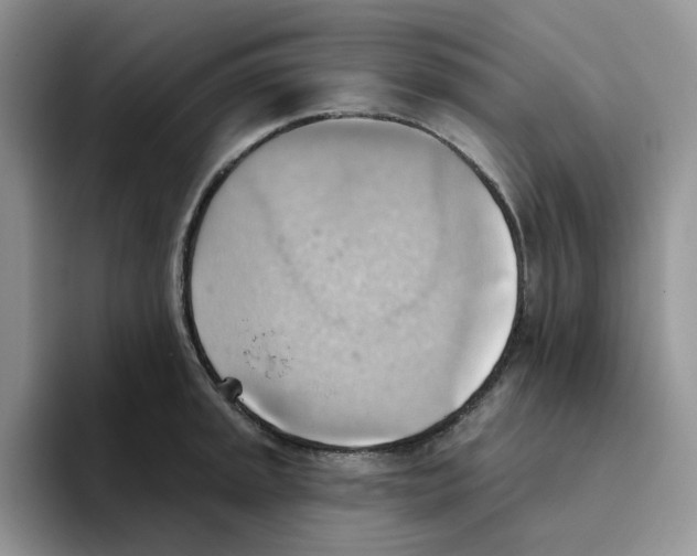 X0000093521045200711091736