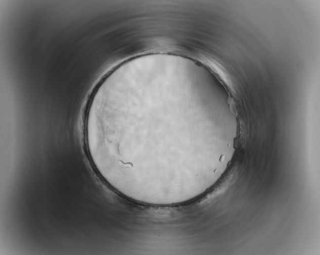 X0000093521046200711091736