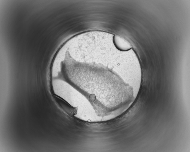 X0000093521048200711091736