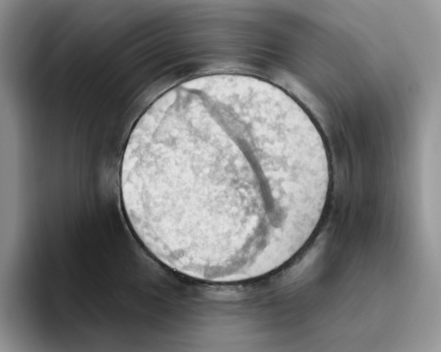 X0000093521049200711091736