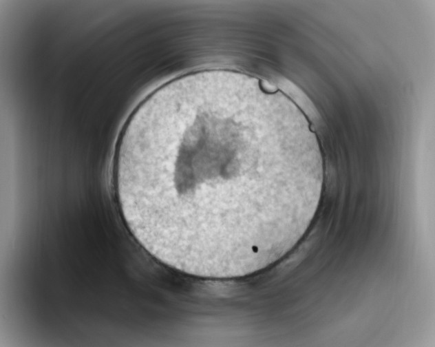 X0000093521052200711091736