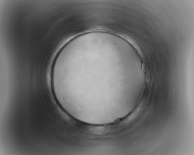 X0000093521054200711091736