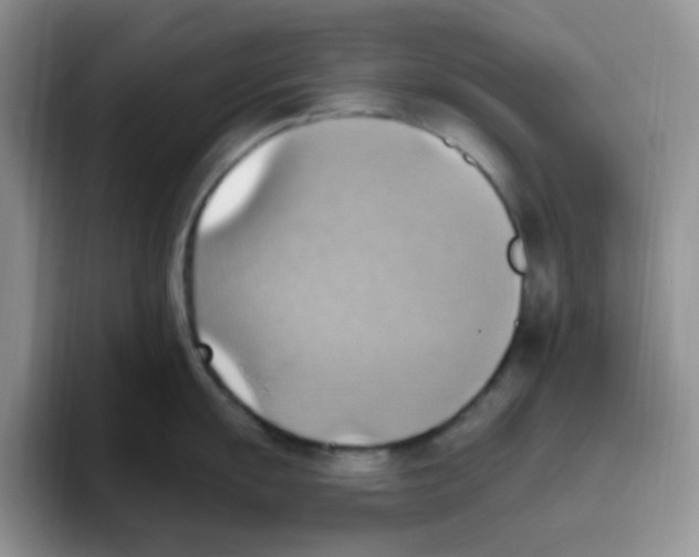 X0000093521055200711091736