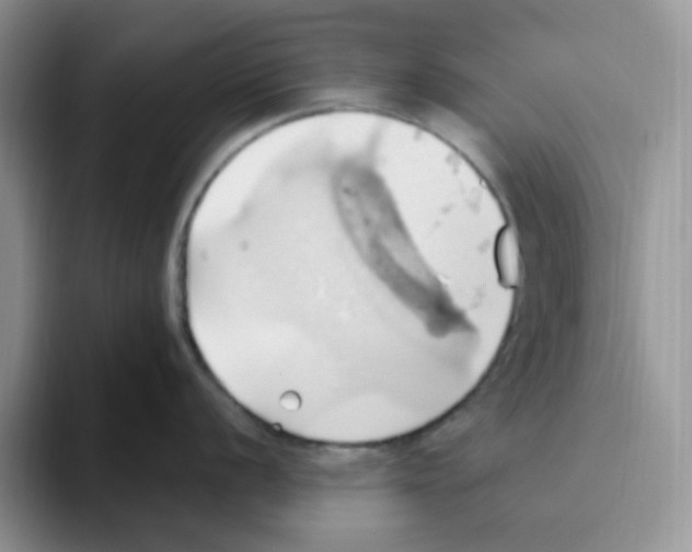 X0000093521056200711091736