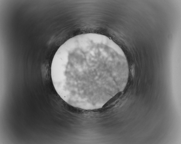 X0000093521059200711091735