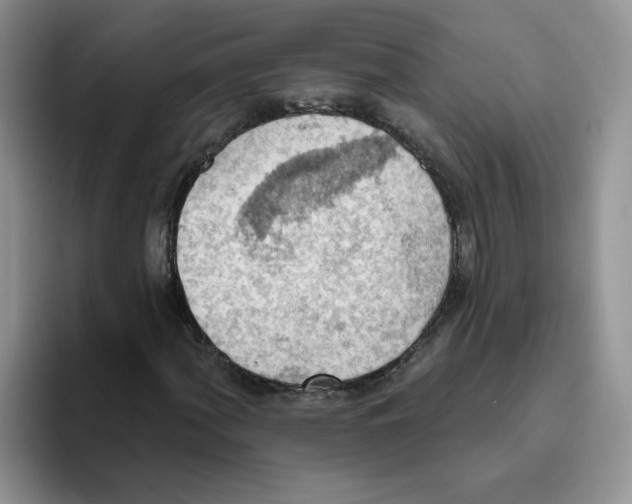 X0000093521060200711091735