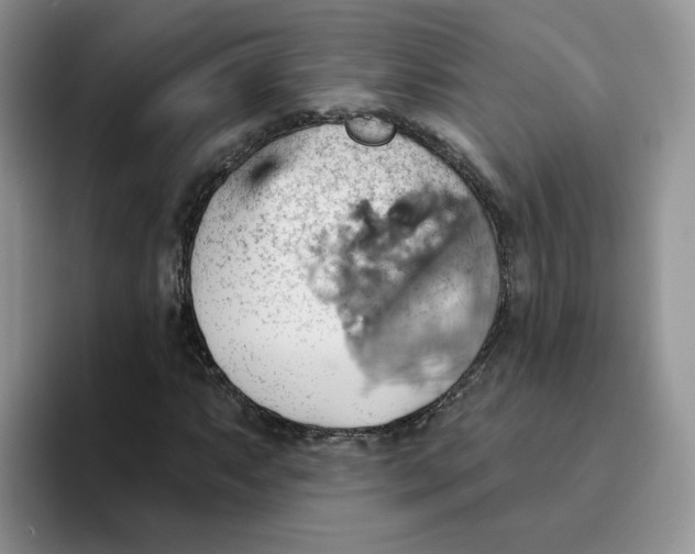 X0000093521063200711091735