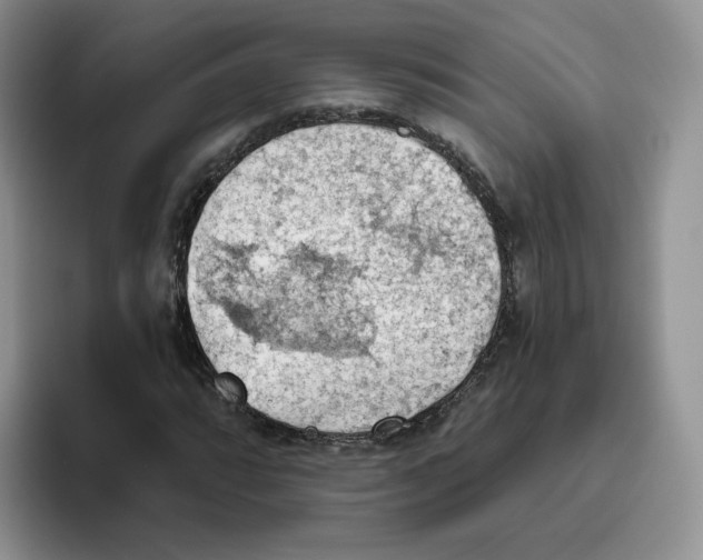 X0000093521064200711091735