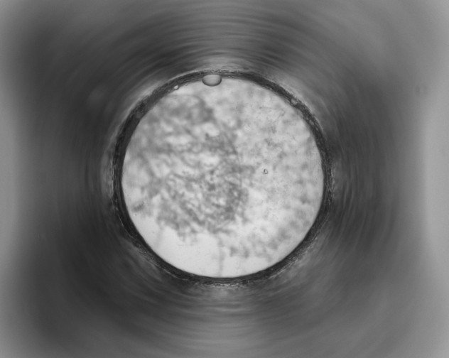 X0000093521067200711091735