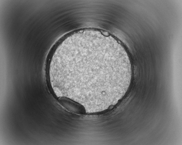 X0000093521068200711091735