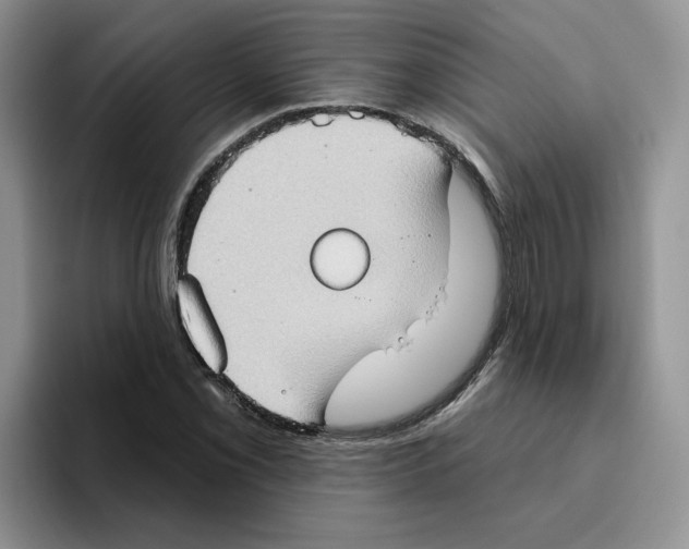 X0000093521069200711091735