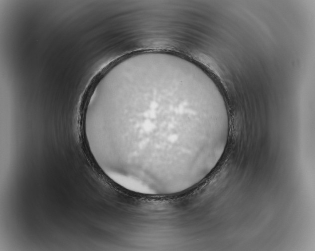 X0000093521071200711091735