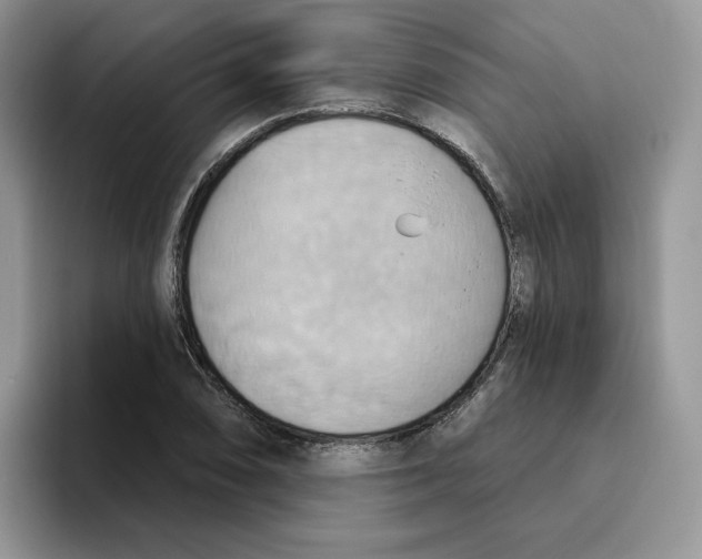 X0000093521074200711091735