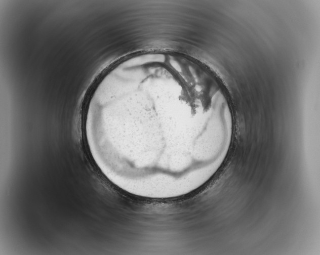 X0000093521075200711091735