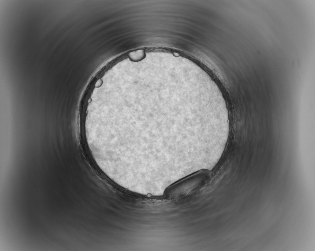 X0000093521076200711091735