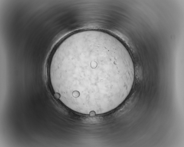 X0000093521078200711091735