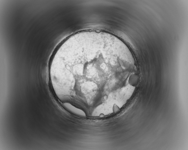 X0000093521079200711091735