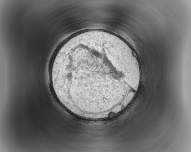 X0000093521080200711091735