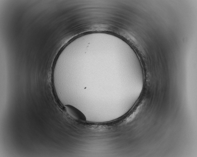 X0000093521081200711091735