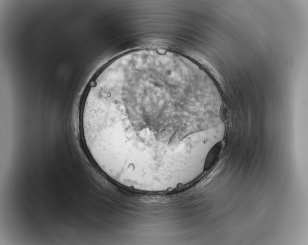 X0000093521083200711091735