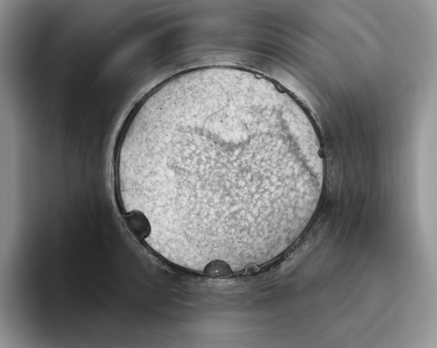 X0000093521088200711091735