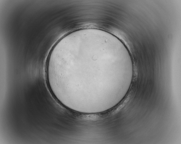 X0000093521090200711091735