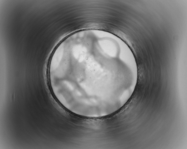 X0000093521091200711091735