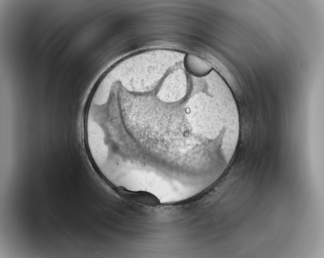 X0000093521092200711091735