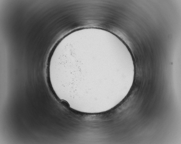 X0000093521093200711091735