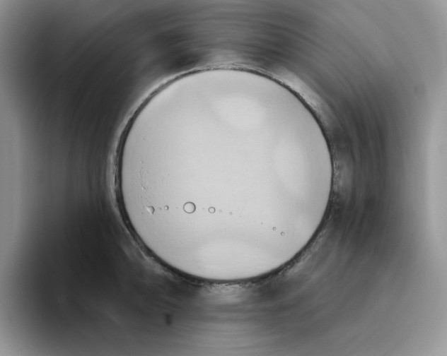 X0000093521094200711091735