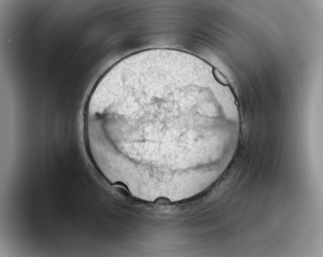 X0000093521096200711091735