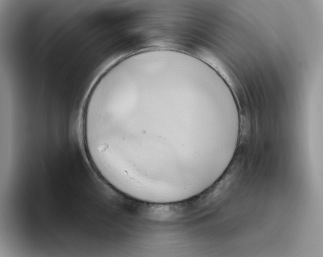 X0000093521098200711091735